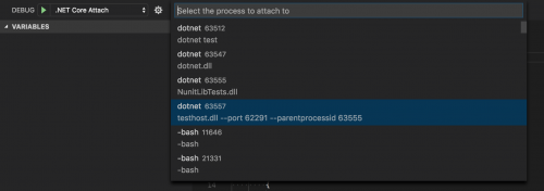 Debug. NET Core Attach